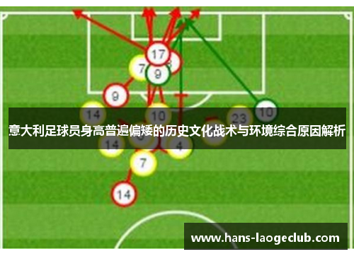 意大利足球员身高普遍偏矮的历史文化战术与环境综合原因解析