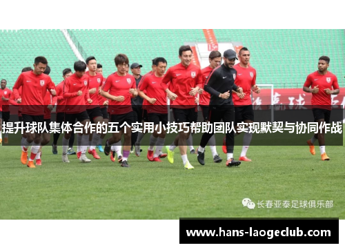 提升球队集体合作的五个实用小技巧帮助团队实现默契与协同作战