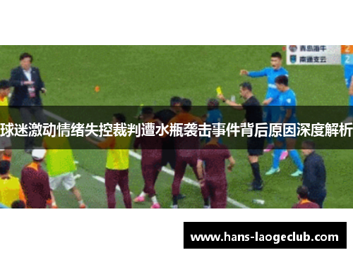 球迷激动情绪失控裁判遭水瓶袭击事件背后原因深度解析