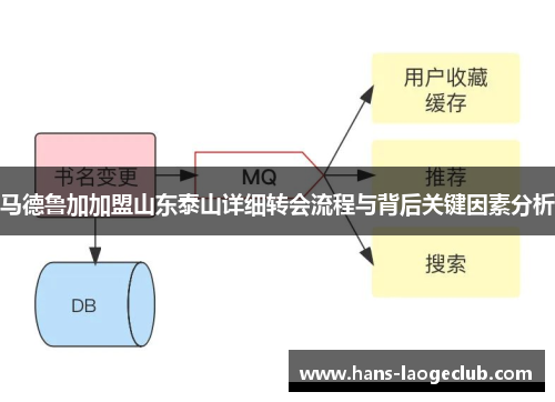 马德鲁加加盟山东泰山详细转会流程与背后关键因素分析